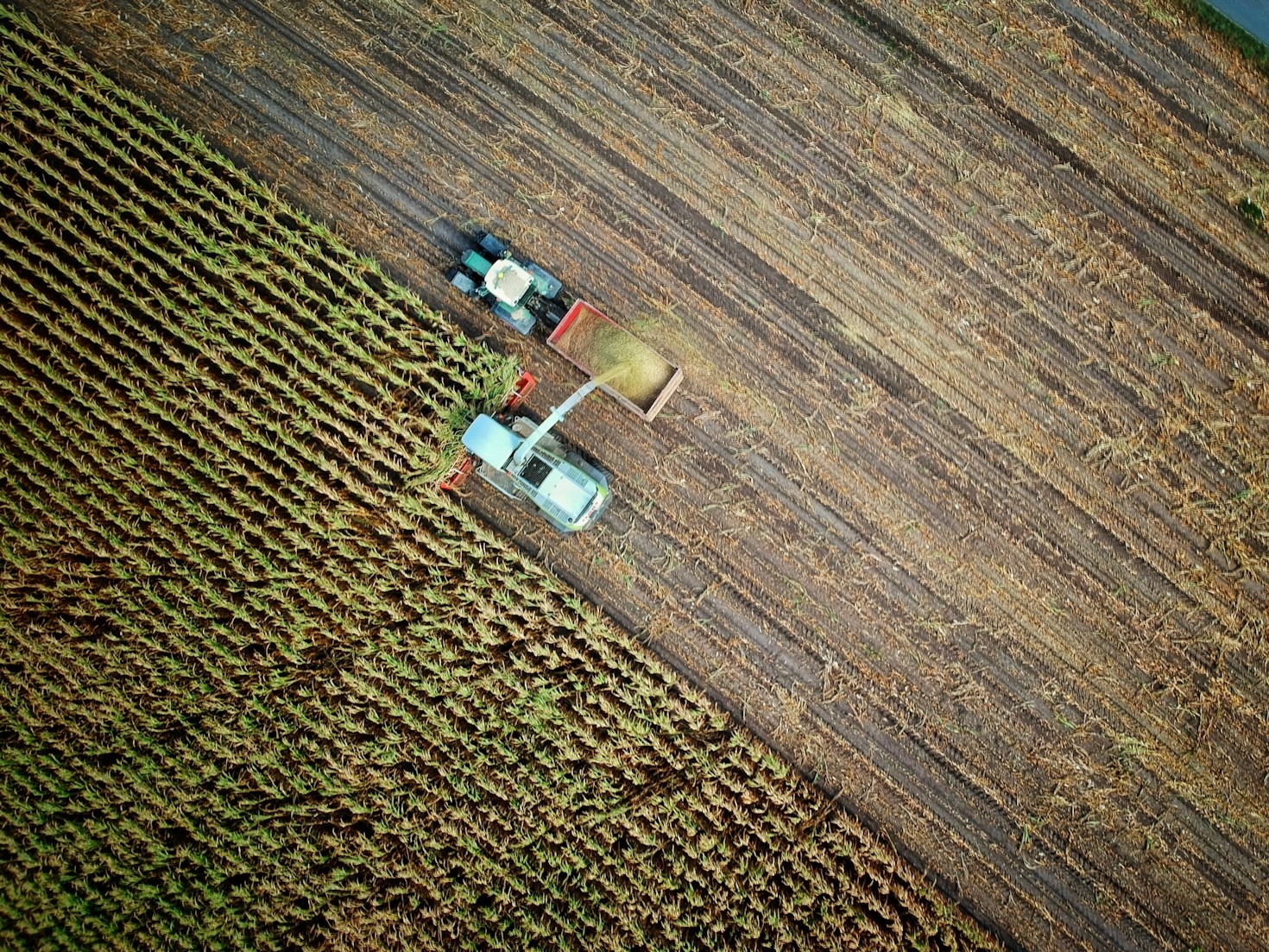 Vorbereitung auf den Einsatz auf dem Feld